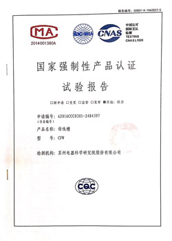 检测报告_CFW 630A-100A 1